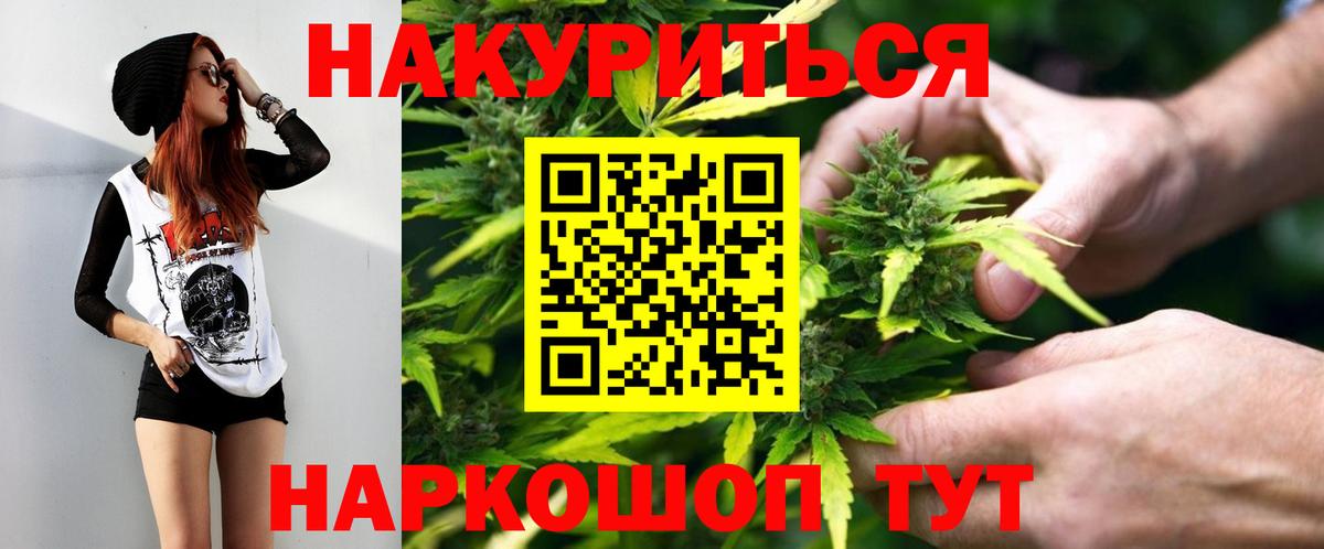 Бошки Шишки планчик Михайловка